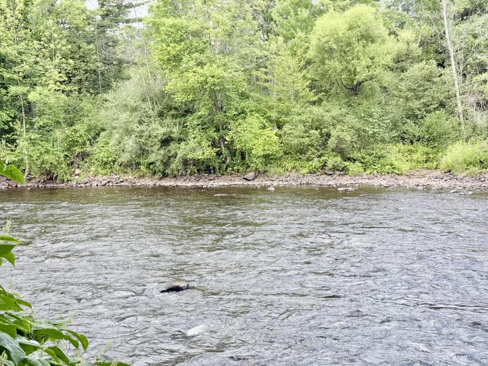 River