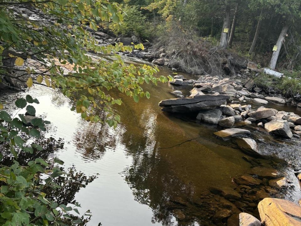 Rabideau Rd river 2