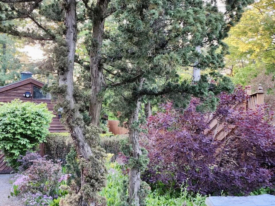 Gardens