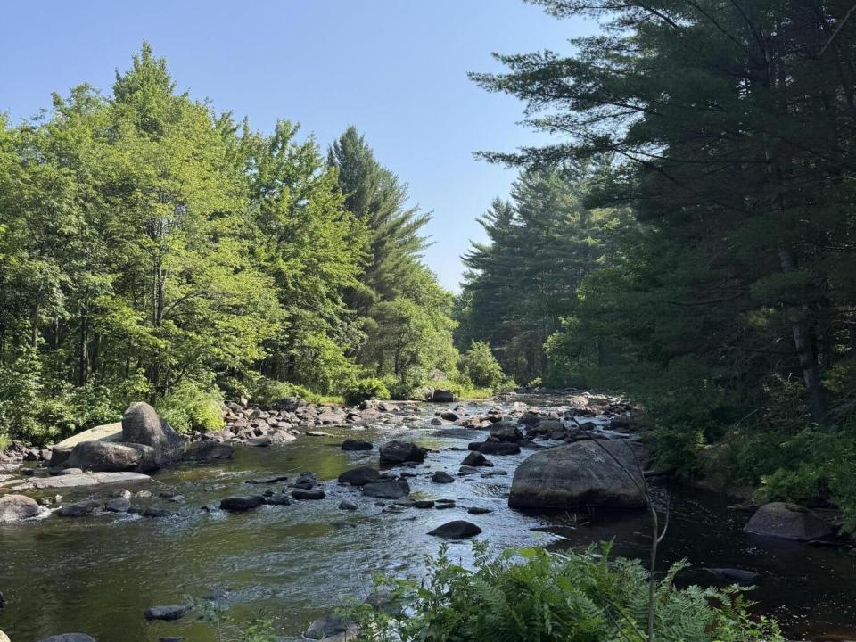River View