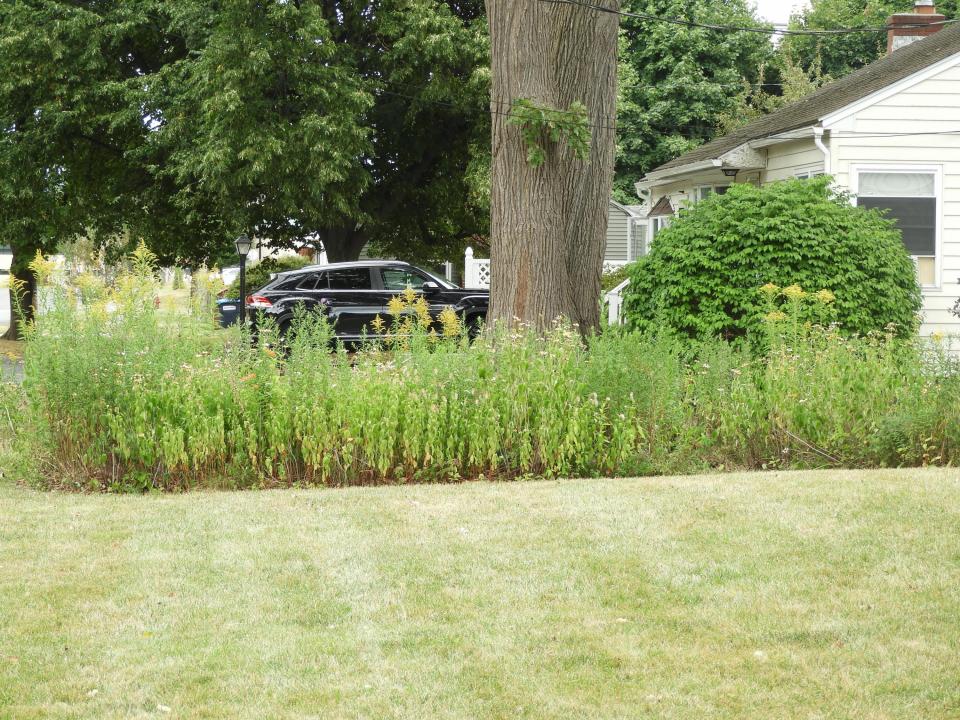 Yard