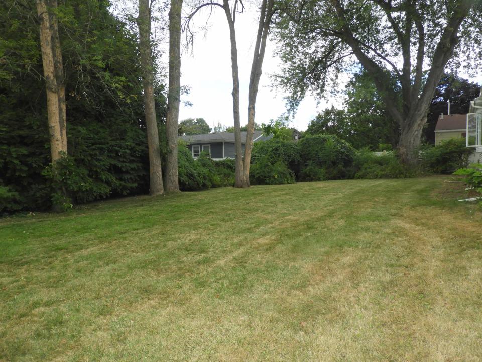 Yard