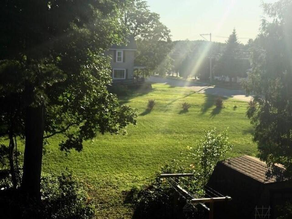 Yard