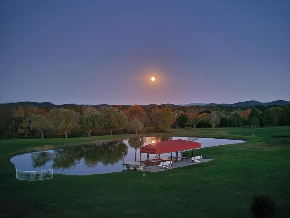 Pond