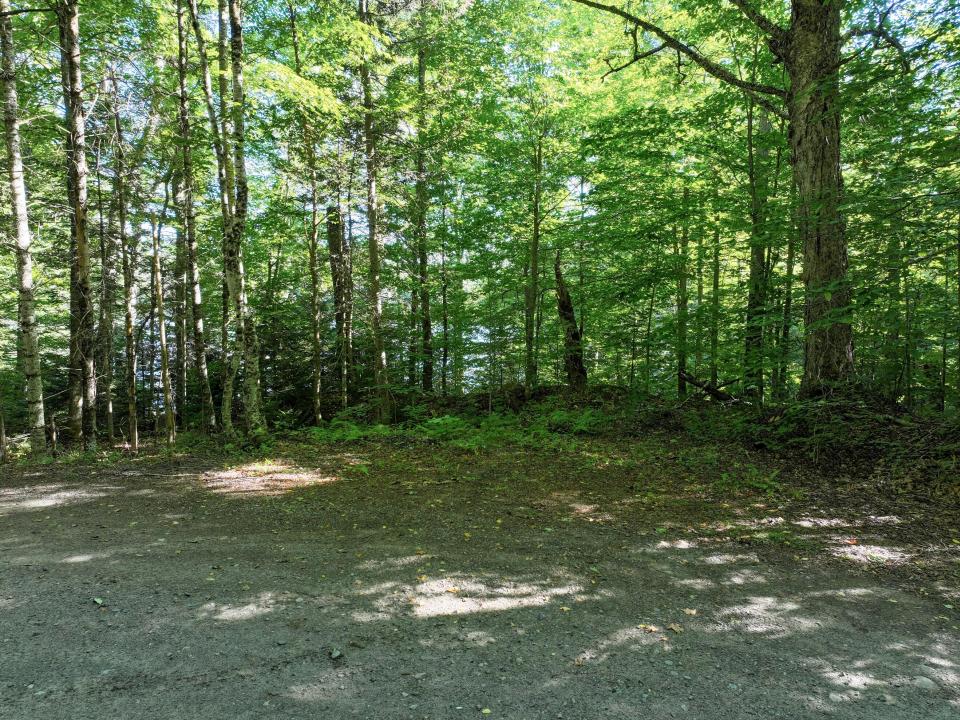 DJI_20250825165609_0629_D-2 (Copy)