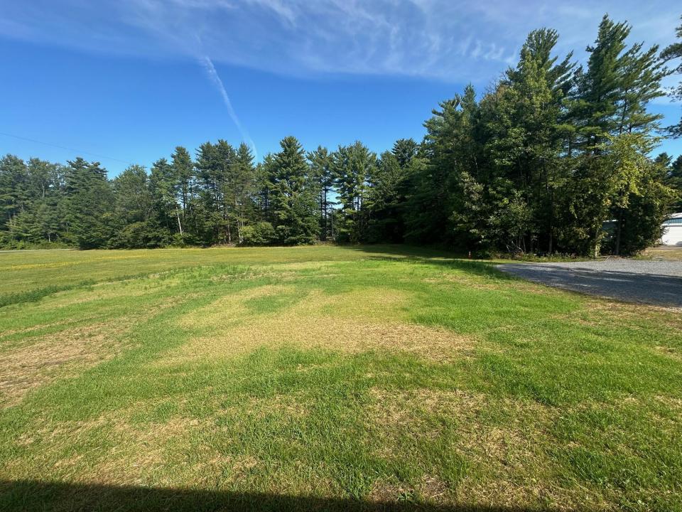 246 Bear Swamp Rd yard