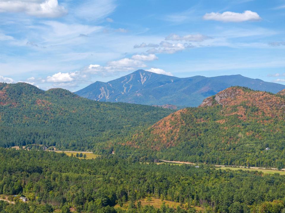 Whiteface