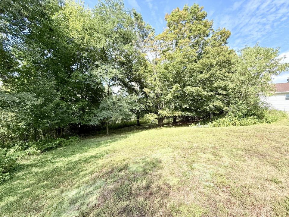 Back yard