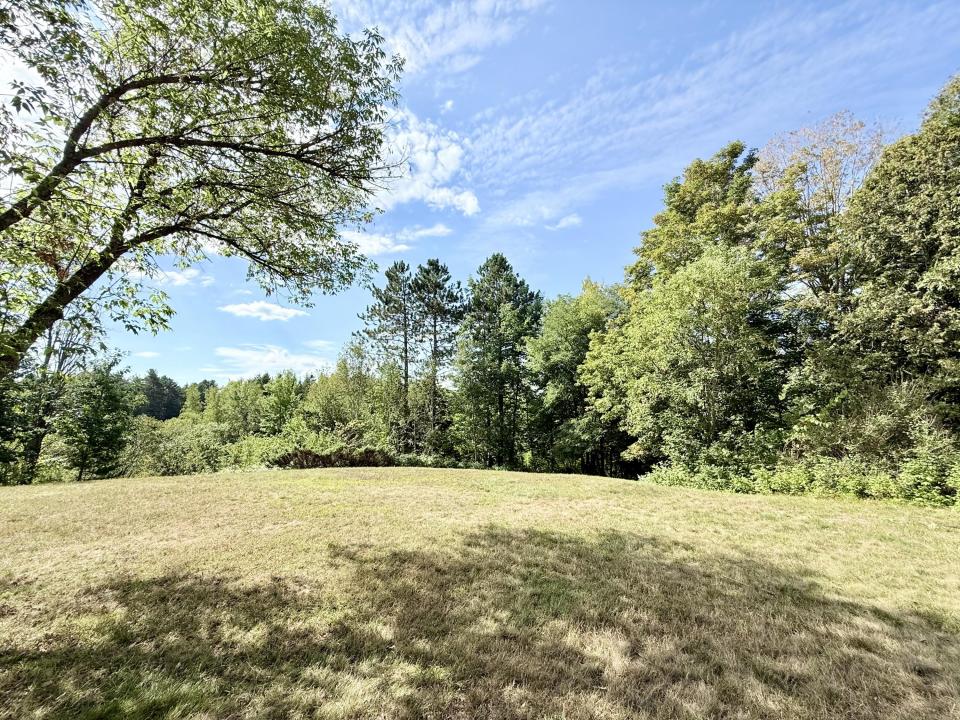 Back yard