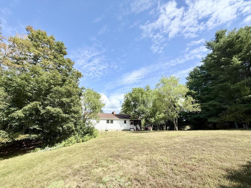 Back yard