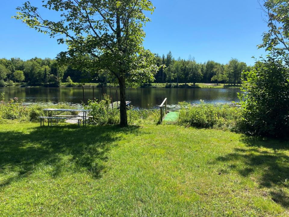Pond