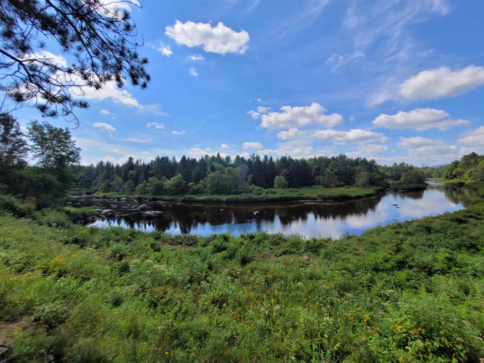 ~aframe (1) ~aframe (1)