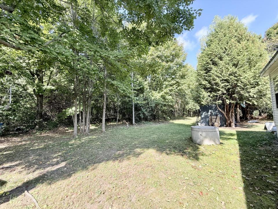 Back yard