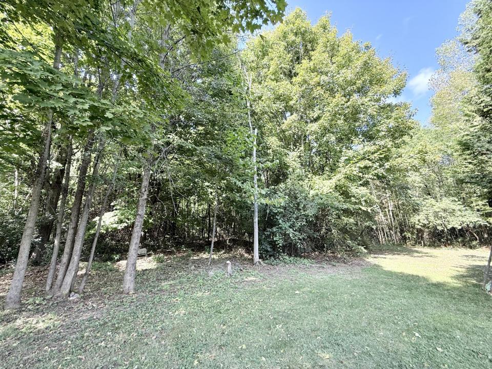 Back yard