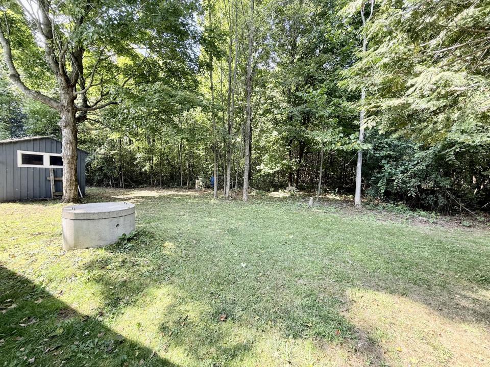 Back yard