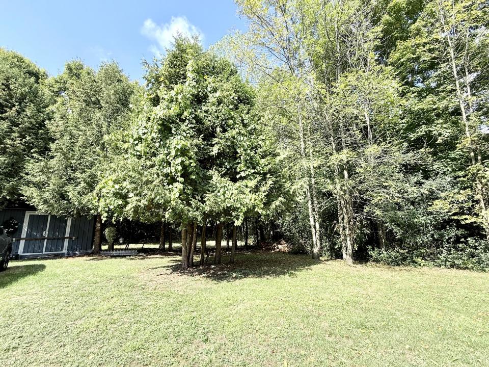 Back yard