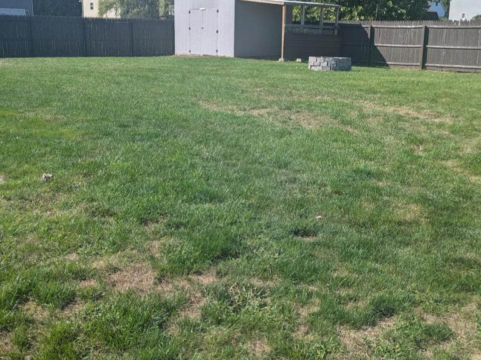 1000014503