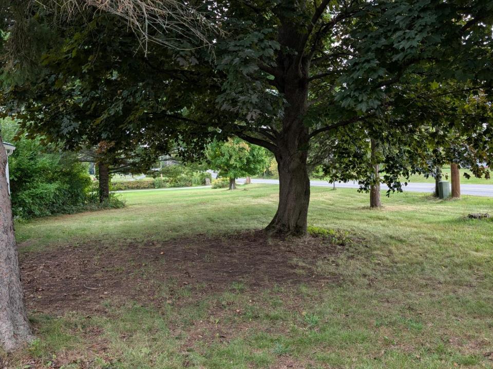 PXL_20250907_184724046