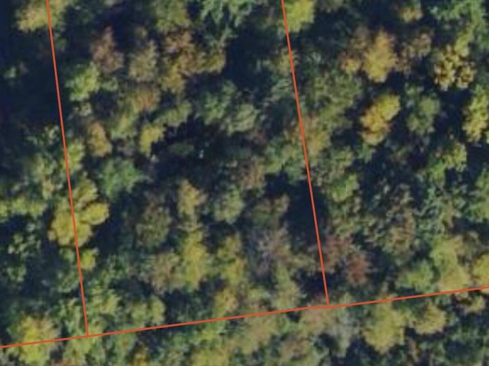 Screenshot 2025-09-12 at 9.10.05PM