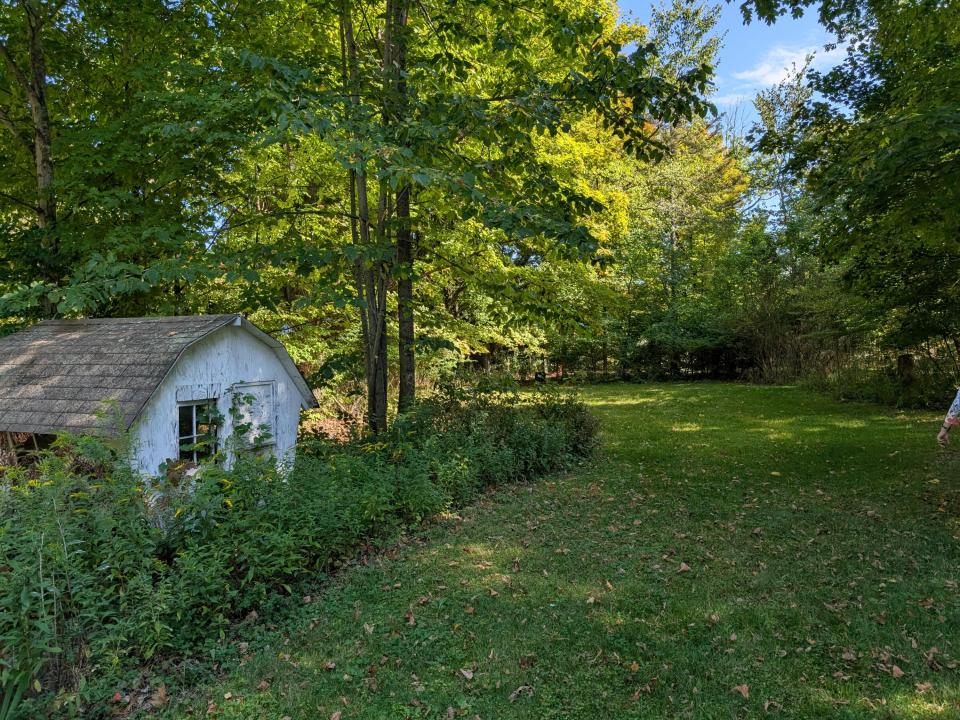 Copy of PXL_20250915_185208827 Copy of PXL_20250915_185208827