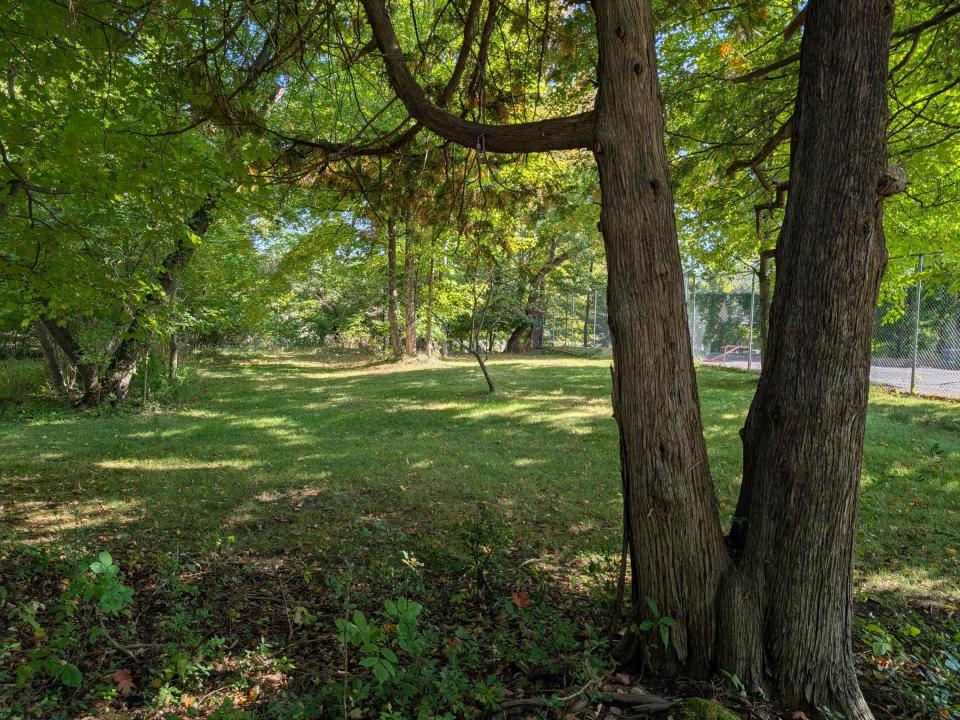 Copy of PXL_20250915_185254781 Copy of PXL_20250915_185254781