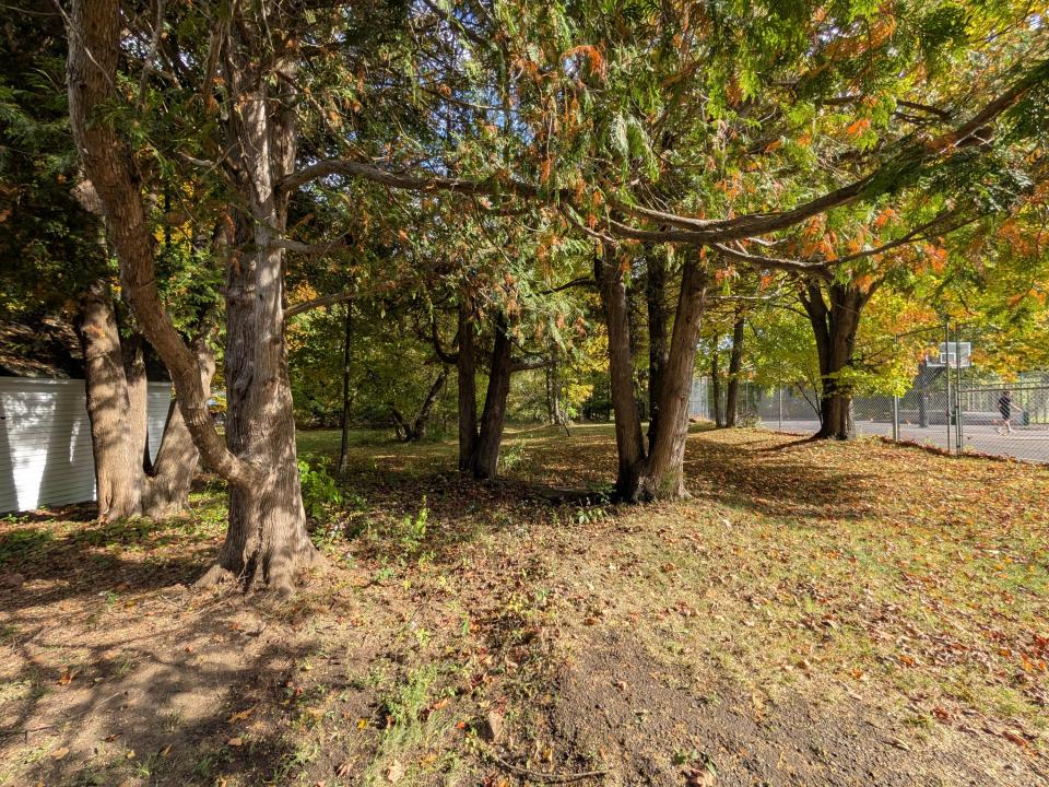 PXL_20250926_192536992 PXL_20250926_192536992