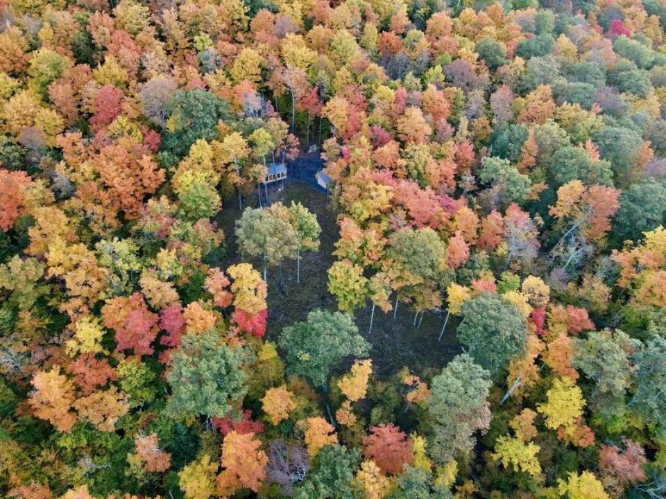 20250914145004616554000000-o