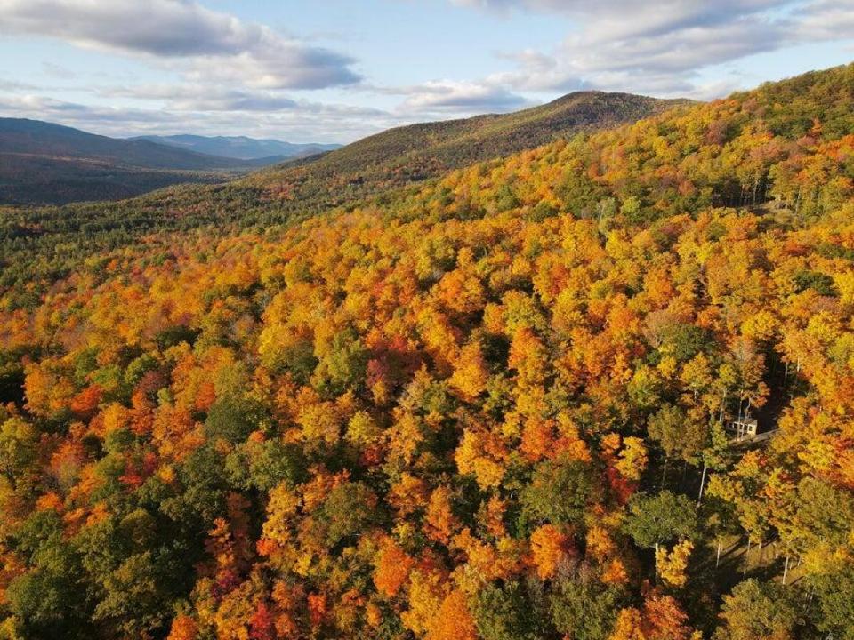 20250914145147971508000000-o