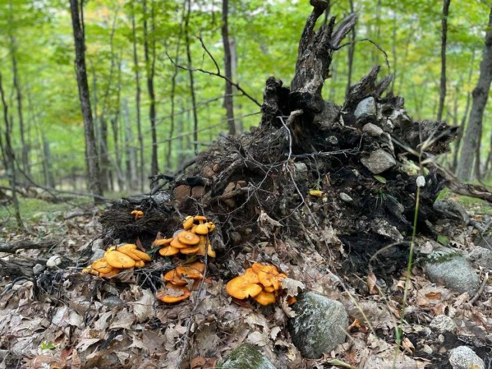 20250914145206883634000000-o