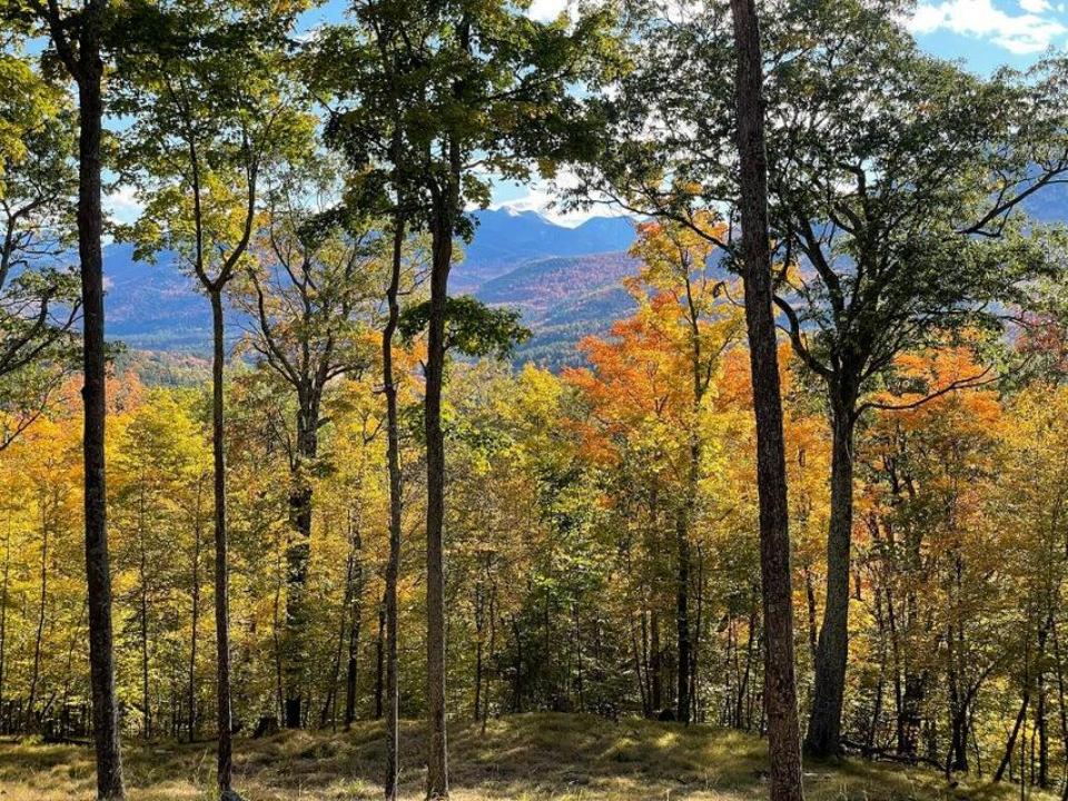 20250914145648395375000000-o