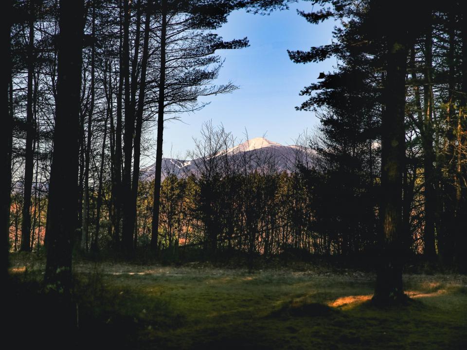 untitled shoot-0255 untitled shoot-0255