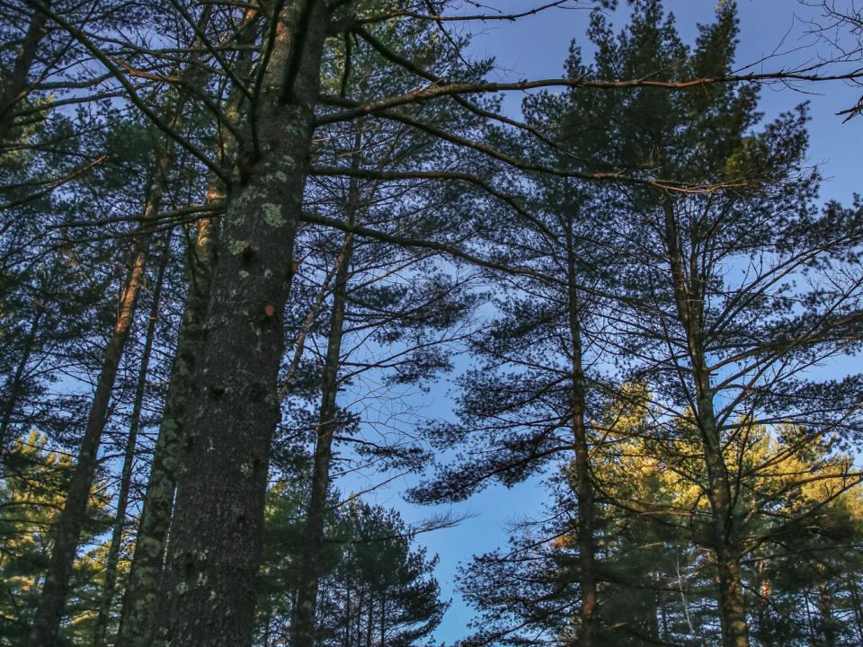 untitled shoot-0252 untitled shoot-0252