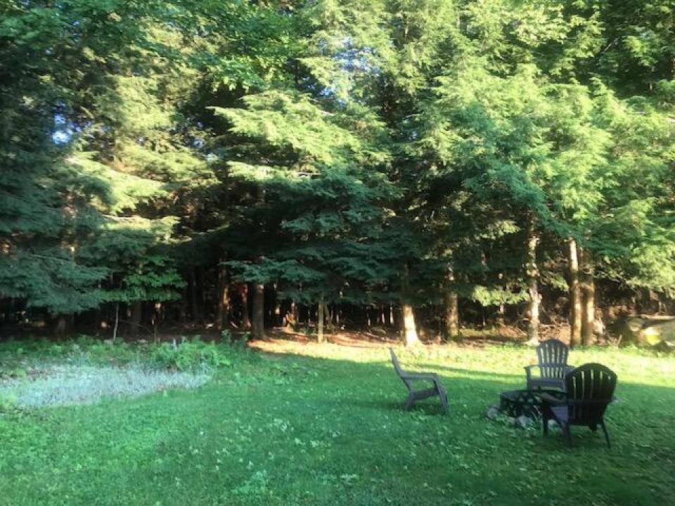 image1 (5)