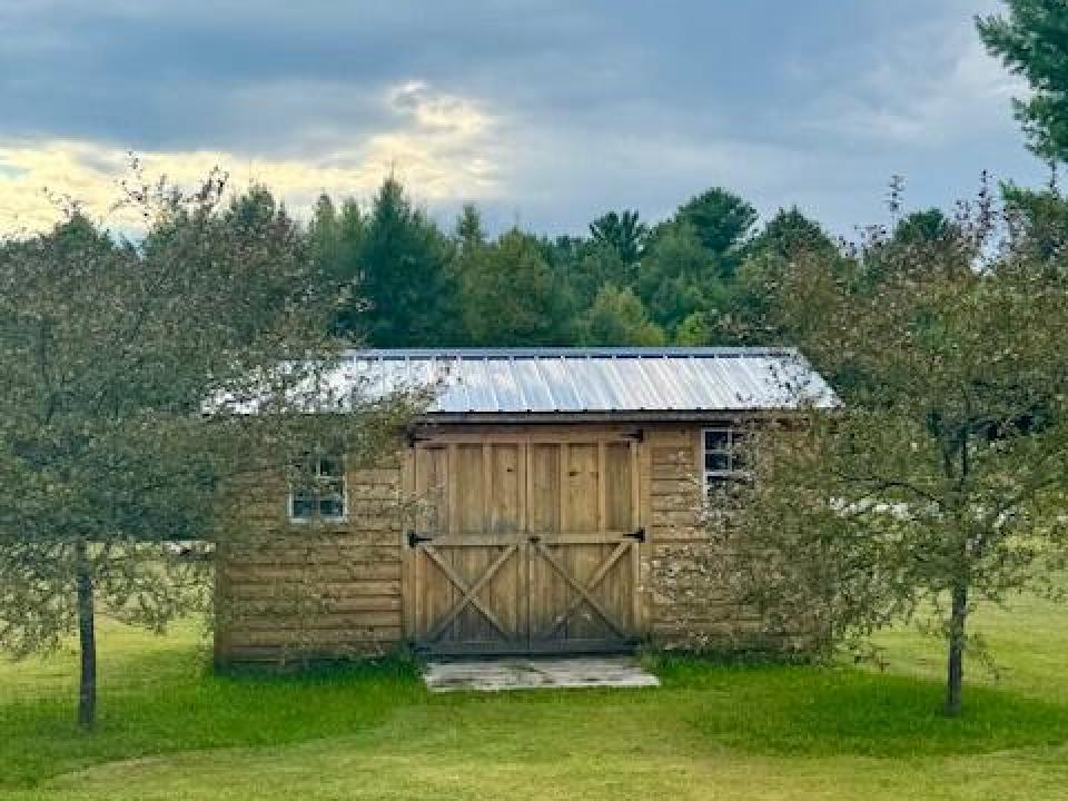 IMG_6208 (1) IMG_6208 (1)