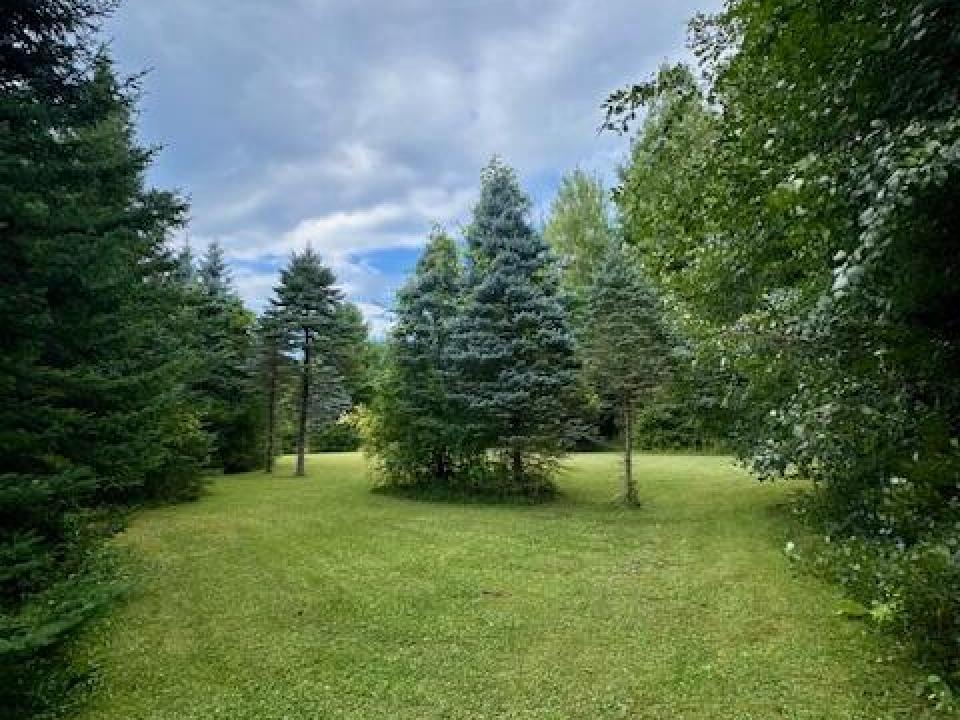 IMG_6218 (1) IMG_6218 (1)