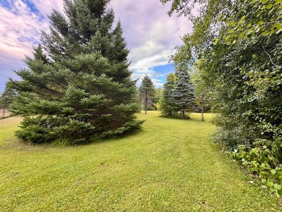 IMG_6217 (1) IMG_6217 (1)