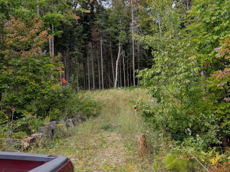 image000001(39)