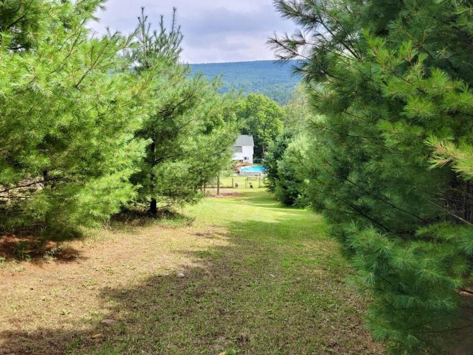 Back View