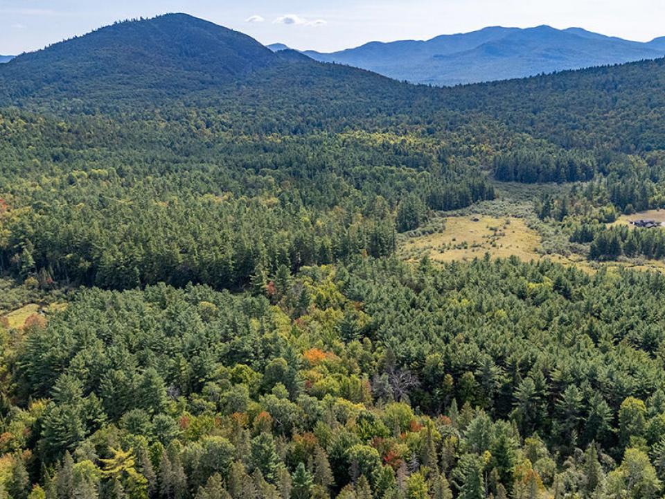 WilmingtonHomeOnHardy_A_Land_M