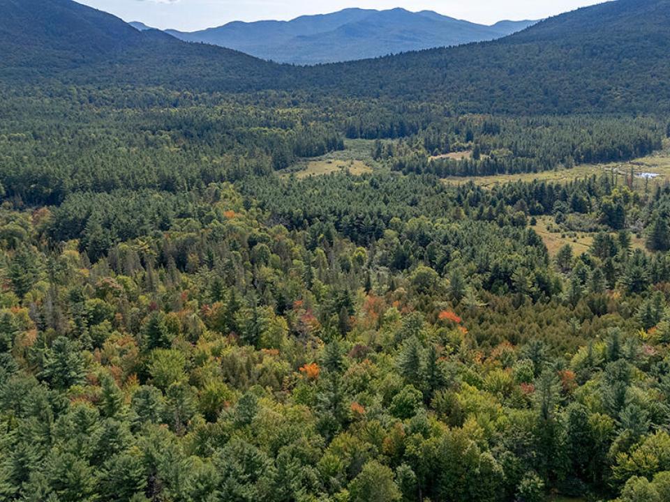 WilmingtonHomeOnHardy_A_Land_R