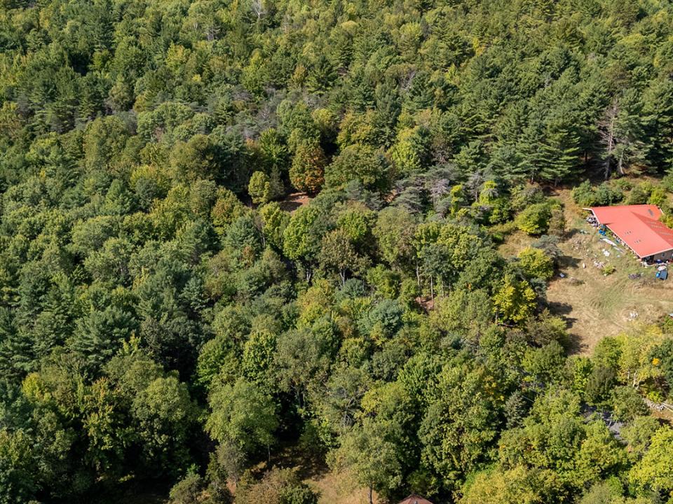 WilmingtonHomeOnHardy_A_Property_WF_V