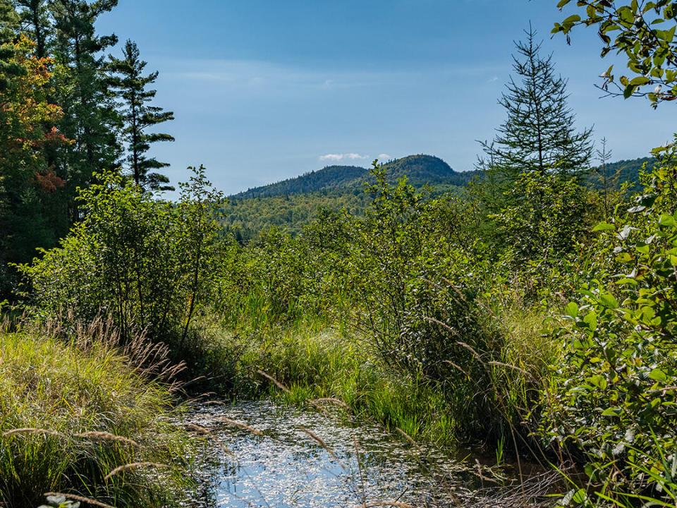 WilmingtonHomeOnHardy_BeaverBrook_Mtn_V