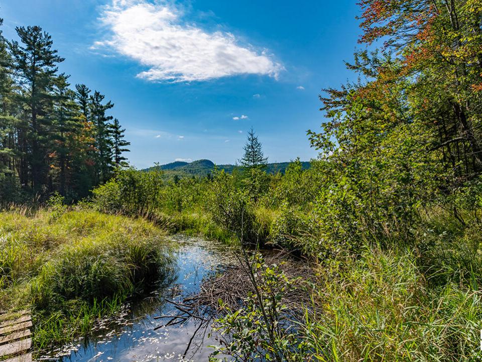 WilmingtonHomeOnHardy_BeaverBrook_Mtns