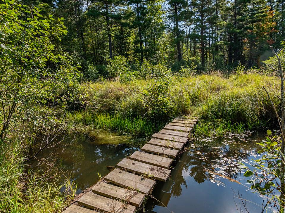 WilmingtonHomeOnHardy_Trail_Bridge