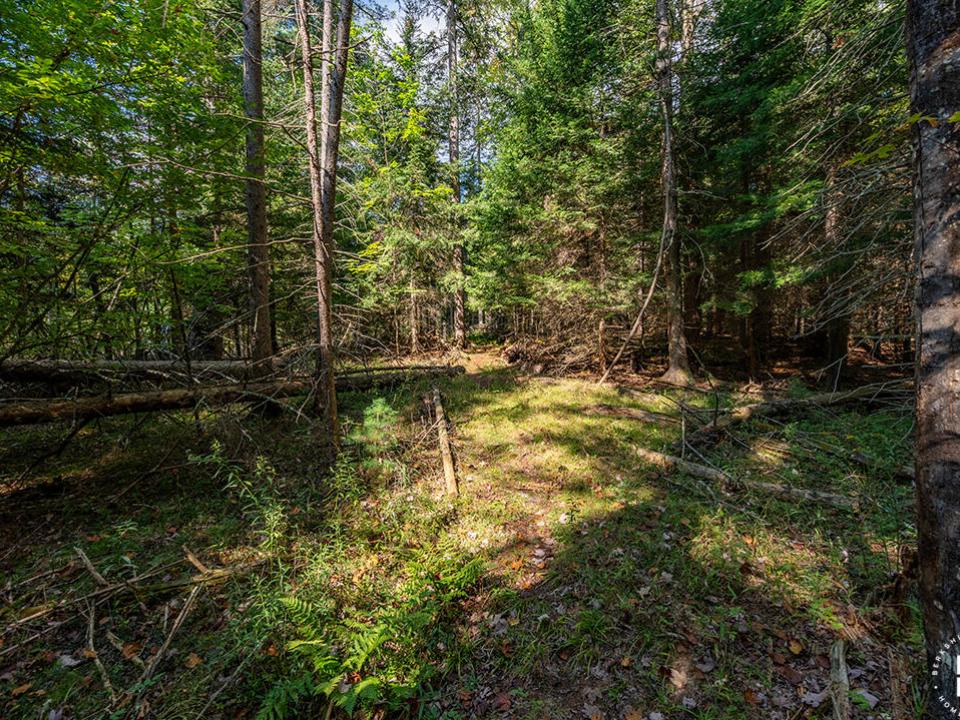 WilmingtonHomeOnHardy_Trail_Trees