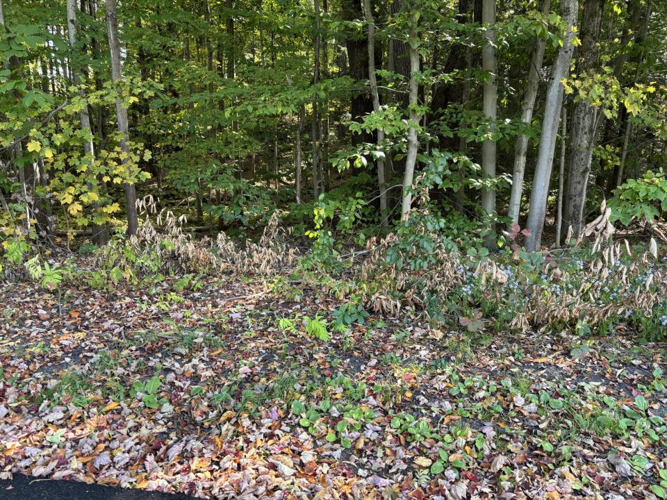 Photo Sep 21 2025, 3 46 20 PM