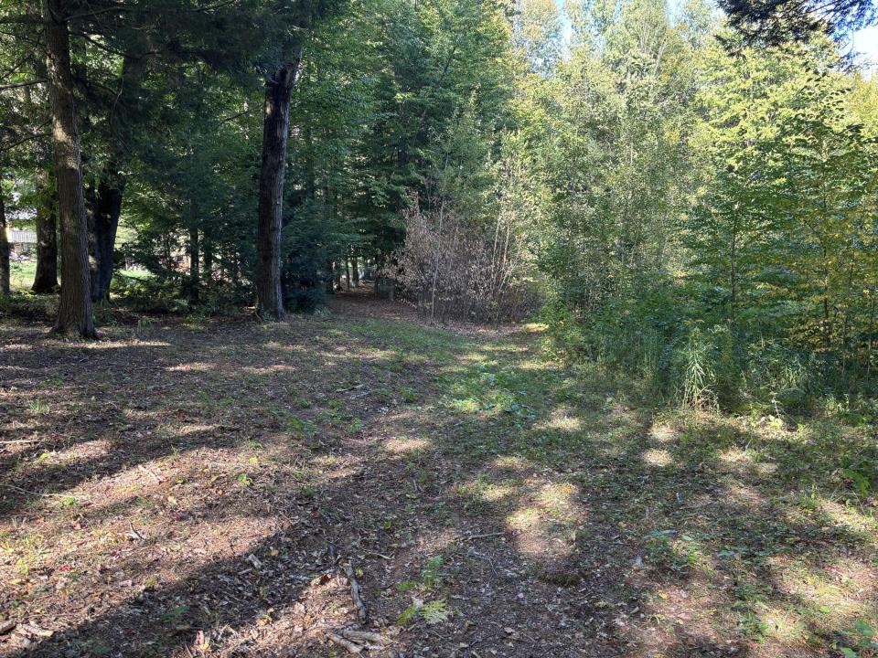 Photo Sep 21 2025, 3 48 04 PM