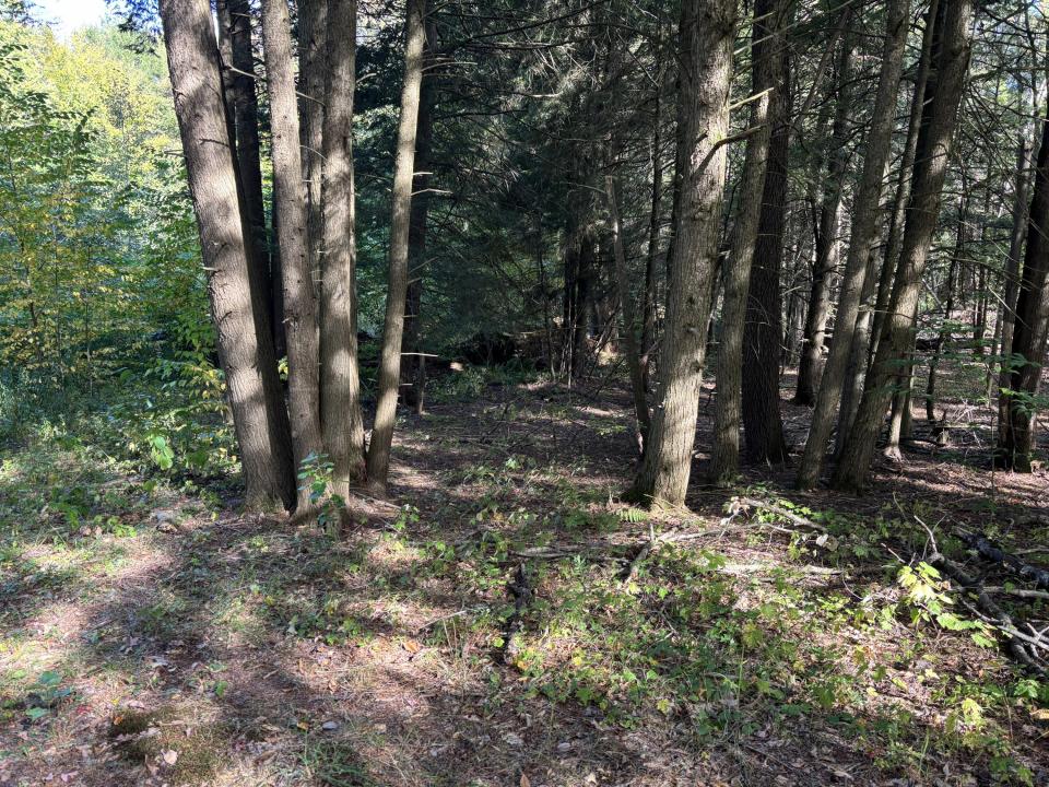 Photo Sep 21 2025, 3 47 59 PM