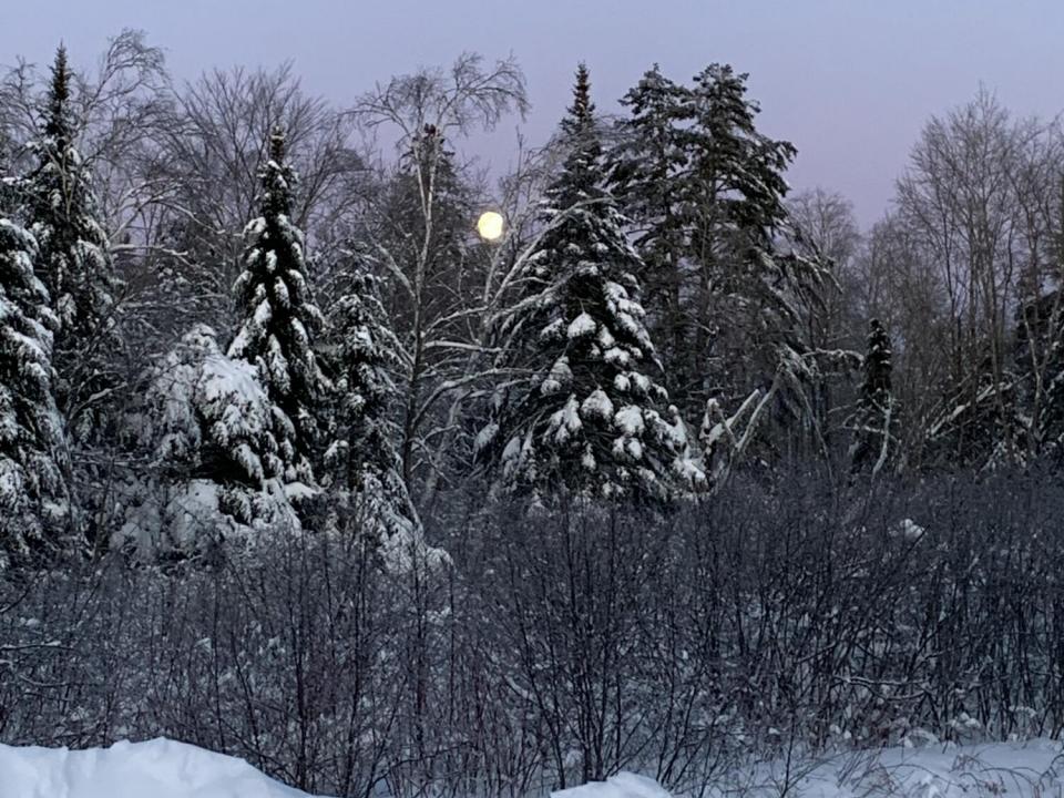 C2E899B8-9126-4993-A332-26A4CEA4F376