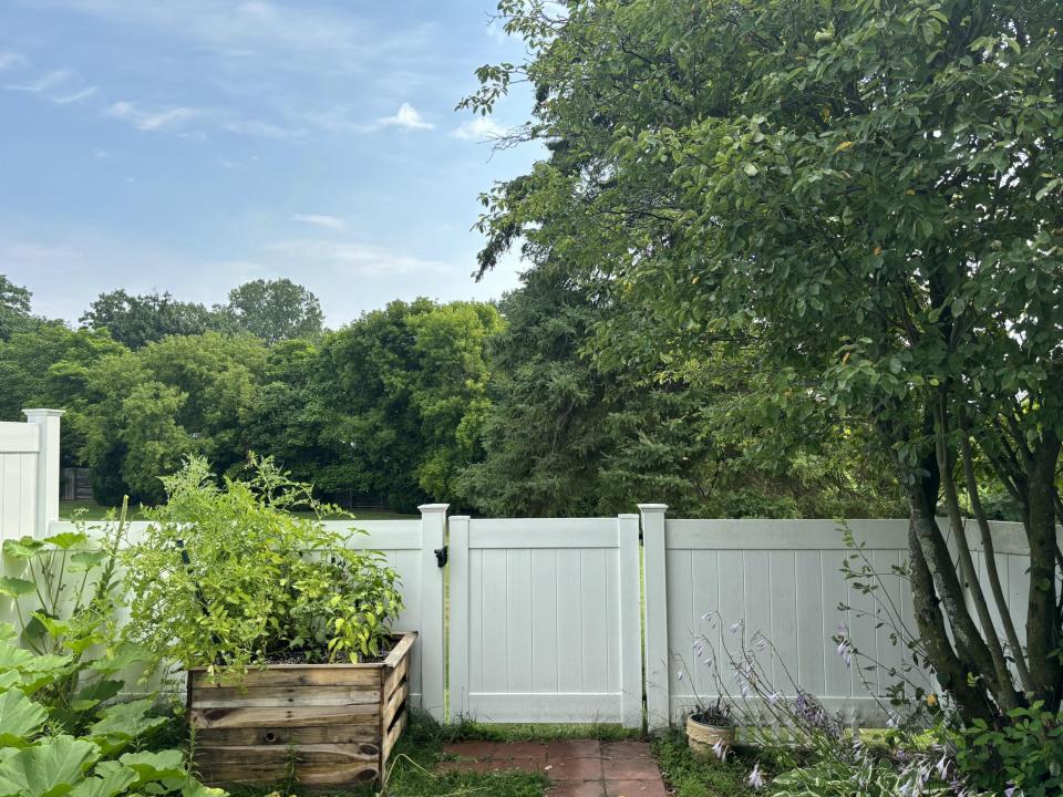 55D1616A-0BE9-4B6D-A60D-9254A5EE44EC_1_2